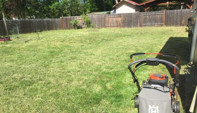 Mowing high lawn after